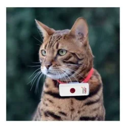 Collier GPS Pour Chat WEENECT Cats 2 -Amis Poils Soldes Boutique 14833046 4