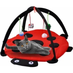 Tapis De Jeu Pour Chat, Centre D'activité De Tente Pour Chat Avec Souris à Balles Suspendues, Tente De Jeu Pour Lit Extérieur Pour Chat