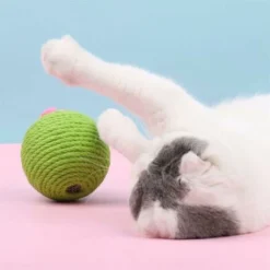 Cactus Griffoirs Pour Chats,Jouet Intertif Pour Chat, Poteaux à Griffer En Forme De Cactus Avec Fleur, Arbres à Chat, Avec Boule De Chat, Cadeau Pour -Versailles -Amis Poils Soldes Boutique 45502034 5