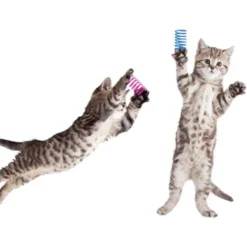 Ressort Jouet Chat 20 Pièces Coloré Printemps Jouet De Chat Jouet Chat Interactif Jouet De Ressorts En Spirale En Plastique Interactifs Durables Pour Chatons Tapant, Mordre, Chasse Jeu Actif -Versaill -Amis Poils Soldes Boutique 45678355 4