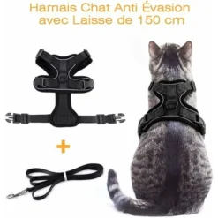 Harnais Chat Petit Chien Laisse Harnais Chaton Réglable Noir XS Collier Harnai Chat Refléchissant Gilet Respirant Pour Lapin, Chat Européen, Maine Coon, Persan, Attache Dessus Avec Laisse -Fontaineble -Amis Poils Soldes Boutique 48832016 3