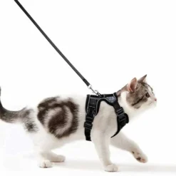 Harnais Chat Petit Chien Laisse Harnais Chaton Réglable Noir XS Collier Harnai Chat Refléchissant Gilet Respirant Pour Lapin, Chat Européen, Maine Coon, Persan, Attache Dessus Avec Laisse -Fontaineble -Amis Poils Soldes Boutique 48832016 5