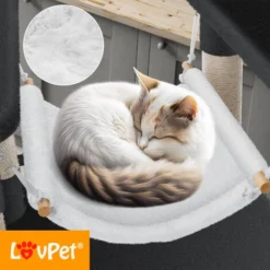 KESSER® Grattoir Arbre à Chat XXL Arbre D’escalade Avec Hamac, Colonnes En Sisal, Stable, Abris, Balles De Jeu, Jeu En Sisal Et Corde De Jeu, Hauteur De 149 cm, Avec De Nombreuses Possibilités De Je 7 KESSER® Grattoir Arbre à Chat XXL Arbre D’escalade Avec Hamac, Colonnes En Sisal, Stable, Abris, Balles De Jeu, Jeu En Sisal Et Corde De Jeu, Hauteur De 149 cm, Avec De Nombreuses Possibilités De Je -Amis Poils Soldes Boutique 50831385 3