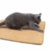 Tapis De Grattage Pour Chat, Tapis Griffoir Pour Chat En Sisal, Grattoir Pour Chat, Jouet De Soins Pour Griffes De Chat Anti-dérapant, Protéger Les Meubles Et Les Canapés 30×40cm（couleur Aléatoire）, F
