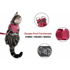 Ensemble Harnais Et Laisse Pour Chat Et Petit Chien - Anti-évasion Avec Clochette Et Nœud Papillon - Gilet Doux Réglable Pour Chat - Harnais De Marche Confortable Pour L'extérieur (Rouge, XS),Starligh 7 Ensemble Harnais Et Laisse Pour Chat Et Petit Chien - Anti-évasion Avec Clochette Et Nœud Papillon - Gilet Doux Réglable Pour Chat - Harnais De Marche Confortable Pour L'extérieur (Rouge, XS),Starligh -Amis Poils Soldes Boutique 51283294 3