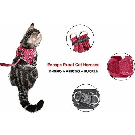 Ensemble Harnais Et Laisse Pour Chat Et Petit Chien - Anti-évasion Avec Clochette Et Nœud Papillon - Gilet Doux Réglable Pour Chat - Harnais De Marche Confortable Pour L'extérieur (Rouge, XS),Starligh 3 Ensemble Harnais Et Laisse Pour Chat Et Petit Chien - Anti-évasion Avec Clochette Et Nœud Papillon - Gilet Doux Réglable Pour Chat - Harnais De Marche Confortable Pour L'extérieur (Rouge, XS),Starligh – Image 3