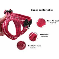 Ensemble Harnais Et Laisse Pour Chat Et Petit Chien - Anti-évasion Avec Clochette Et Nœud Papillon - Gilet Doux Réglable Pour Chat - Harnais De Marche Confortable Pour L'extérieur (Rouge, XS),Starligh 8 Ensemble Harnais Et Laisse Pour Chat Et Petit Chien - Anti-évasion Avec Clochette Et Nœud Papillon - Gilet Doux Réglable Pour Chat - Harnais De Marche Confortable Pour L'extérieur (Rouge, XS),Starligh -Amis Poils Soldes Boutique 51283294 4
