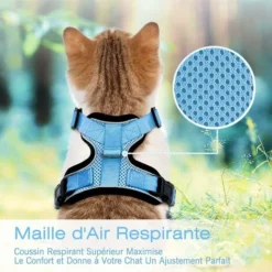 Ensoleillé Harnais Chat Petit Chien Laisse Harnais Chaton Réglable Bleu Clair XS Collier Harnai Chat Refléchissant Gilet Respirant Pour Chat Européen, Maine Coon, Persan, Attache Dessus Avec Laisse -Amis Poils Soldes Boutique 57794103 5