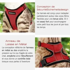 Ensoleillé Harnais Chat Petit Chien Laisse Harnais Chaton Réglable Rouge XS Collier Harnai Chat Refléchissant Gilet Respirant Pour Lapin, Chat Européen, Maine Coon, Persan, Attache Dessus Avec Laisse -Amis Poils Soldes Boutique 57794104 5