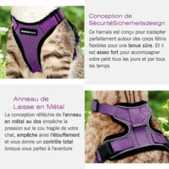 Ensoleillé Harnais Chat Petit Chien Laisse Harnais Chaton Réglable Violet XS Collier Harnai Chat Refléchissant Gilet Respirant Pour Lapin, Chat Européen, Maine Coon, Persan, Attache Dessus Avec Laisse -Amis Poils Soldes Boutique 57794112 5