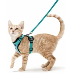 Ensoleillé Harnais Chat Petit Chien Laisse Harnais Chaton Réglable Vert XS Collier Harnai Chat Refléchissant Gilet Respirant Pour Lapin, Chat Européen, Maine Coon, Persan, Attache Dessus Avec Laisse