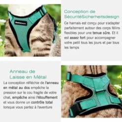Ensoleillé Harnais Chat Petit Chien Laisse Harnais Chaton Réglable Vert XS Collier Harnai Chat Refléchissant Gilet Respirant Pour Lapin, Chat Européen, Maine Coon, Persan, Attache Dessus Avec Laisse -Amis Poils Soldes Boutique 57794114 5