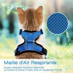 Ensoleillé Harnais Chat Petit Chien Laisse Harnais Chaton Réglable Bleu XS Collier Harnai Chat Refléchissant Gilet Respirant Pour Lapin, Chat Européen, Maine Coon, Persan, Attache Dessus Avec Laisse -Amis Poils Soldes Boutique 57794117 4
