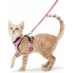 Ensoleillé Harnais Chat Petit Chien Laisse Harnais Chaton Réglable Rose XS Collier Harnai Chat Refléchissant Gilet Respirant Pour Lapin, Chat Européen, Maine Coon, Persan, Attache Dessus Avec Laisse