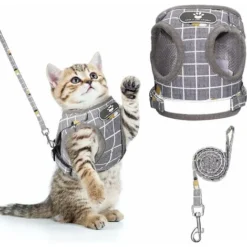 Harnais Pour Chat Anti-Évasion Harnais Réglable Pour Chiot Harnais Avec Laisse Pour Chaton Harnais Avec Gilet à Rayures Pour Chien Harnais En Maille Respirante Pour Chats Petits Chiens-M