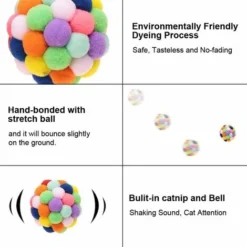 Amis Poils Soldes Boutique -Amis Poils Soldes Boutique 59448479 2