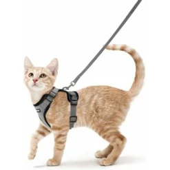 Déstockage Harnais Chat Petit Chien Laisse Harnais Chaton Réglable Gris XS Collier Harnai Chat Refléchissant Gilet Respirant Pour Lapin, Chat Européen, Maine Coon, Persan, Attache Dessus Avec Laisse