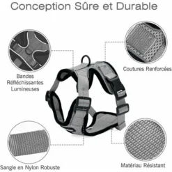 Déstockage Harnais Chat Petit Chien Laisse Harnais Chaton Réglable Gris XS Collier Harnai Chat Refléchissant Gilet Respirant Pour Lapin, Chat Européen, Maine Coon, Persan, Attache Dessus Avec Laisse -Amis Poils Soldes Boutique 60110612 4
