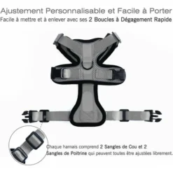 Déstockage Harnais Chat Petit Chien Laisse Harnais Chaton Réglable Gris XS Collier Harnai Chat Refléchissant Gilet Respirant Pour Lapin, Chat Européen, Maine Coon, Persan, Attache Dessus Avec Laisse -Amis Poils Soldes Boutique 60110612 5