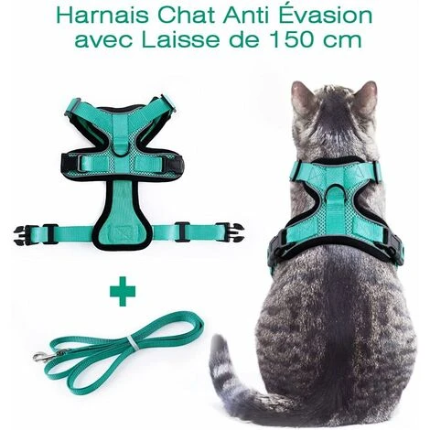 Déstockage Harnais Chat Petit Chien Laisse Harnais Chaton Réglable Vert XS Collier Harnai Chat Refléchissant Gilet Respirant Pour Lapin, Chat Européen, Maine Coon, Persan, Attache Dessus Avec Laisse 2 Déstockage Harnais Chat Petit Chien Laisse Harnais Chaton Réglable Vert XS Collier Harnai Chat Refléchissant Gilet Respirant Pour Lapin, Chat Européen, Maine Coon, Persan, Attache Dessus Avec Laisse – Image 2