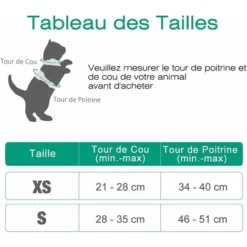 Déstockage Harnais Chat Petit Chien Laisse Harnais Chaton Réglable Vert XS Collier Harnai Chat Refléchissant Gilet Respirant Pour Lapin, Chat Européen, Maine Coon, Persan, Attache Dessus Avec Laisse 7 Déstockage Harnais Chat Petit Chien Laisse Harnais Chaton Réglable Vert XS Collier Harnai Chat Refléchissant Gilet Respirant Pour Lapin, Chat Européen, Maine Coon, Persan, Attache Dessus Avec Laisse -Amis Poils Soldes Boutique 60111451 3