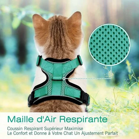 Déstockage Harnais Chat Petit Chien Laisse Harnais Chaton Réglable Vert XS Collier Harnai Chat Refléchissant Gilet Respirant Pour Lapin, Chat Européen, Maine Coon, Persan, Attache Dessus Avec Laisse 4 Déstockage Harnais Chat Petit Chien Laisse Harnais Chaton Réglable Vert XS Collier Harnai Chat Refléchissant Gilet Respirant Pour Lapin, Chat Européen, Maine Coon, Persan, Attache Dessus Avec Laisse – Image 4