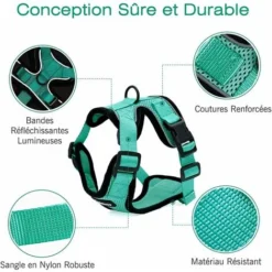 Déstockage Harnais Chat Petit Chien Laisse Harnais Chaton Réglable Vert XS Collier Harnai Chat Refléchissant Gilet Respirant Pour Lapin, Chat Européen, Maine Coon, Persan, Attache Dessus Avec Laisse 9 Déstockage Harnais Chat Petit Chien Laisse Harnais Chaton Réglable Vert XS Collier Harnai Chat Refléchissant Gilet Respirant Pour Lapin, Chat Européen, Maine Coon, Persan, Attache Dessus Avec Laisse -Amis Poils Soldes Boutique 60111451 5