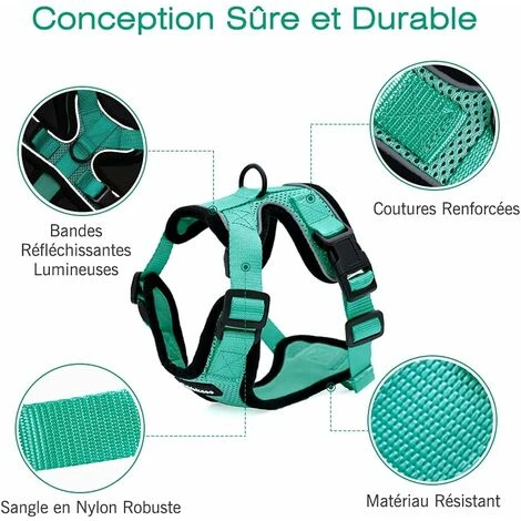 Déstockage Harnais Chat Petit Chien Laisse Harnais Chaton Réglable Vert XS Collier Harnai Chat Refléchissant Gilet Respirant Pour Lapin, Chat Européen, Maine Coon, Persan, Attache Dessus Avec Laisse 5 Déstockage Harnais Chat Petit Chien Laisse Harnais Chaton Réglable Vert XS Collier Harnai Chat Refléchissant Gilet Respirant Pour Lapin, Chat Européen, Maine Coon, Persan, Attache Dessus Avec Laisse – Image 5