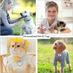 Médaille Chien Chat Identification 4pcs Pendentif Étiquettes D'identification Personnalisé Anti-Perdue Étiquette-Adresse Avec Strass Porte-Adresse Pour Collier Chien Chat -Amis Poils Soldes Boutique 63577071 3