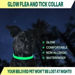 Collier Anti-puces Et Anti-tiques Pour Chiens Et Chats, Brille Dans Le Noir, Taille Imperméable Et Réglable, Protection 8 Mois, 1 Paquet (grand) -Amis Poils Soldes Boutique 65505193 3