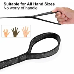 Laisse De Chien, Laisse De Chien De 10 M Laisse De Chien, Longue Laisse En Caoutchouc, Antidérapante Et Robuste, Adaptée Aux Petits Et Grands Chiens-BDD -Amis Poils Soldes Boutique 66354317 3