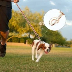 Longe Pour Chien,2m Laisse De Dressage Pour Chien Durable,ntidérapante Pour Moyenne Chien Petite De à Grande Taille Pour Animal De Compagnie Chiot,entraînement Obéissance Camping (rouge)-BDD -Amis Poils Soldes Boutique 66354445 2