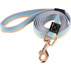 Longe Pour Chien,2m Laisse De Dressage Pour Chien Durable,ntidérapante Pour Moyenne Chien Petite De à Grande Taille Pour Animal De Compagnie Chiot,entraînement Obéissance Camping (Bleu)-BDD