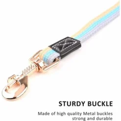 Longe Pour Chien,2m Laisse De Dressage Pour Chien Durable,ntidérapante Pour Moyenne Chien Petite De à Grande Taille Pour Animal De Compagnie Chiot,entraînement Obéissance Camping (Bleu)-BDD -Amis Poils Soldes Boutique 66354453 3