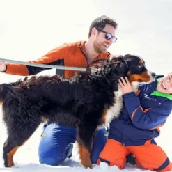 Longe Pour Chien,2m Laisse De Dressage Pour Chien Durable,ntidérapante Pour Moyenne Chien Petite De à Grande Taille Pour Animal De Compagnie Chiot,entraînement Obéissance Camping (Bleu)-BDD -Amis Poils Soldes Boutique 66354453 4