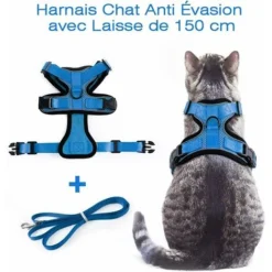 Harnais Pour Chat Laisse Pour Petit Chien Harnais Pour Chaton Réglable Bleu XS Collier De Harnais Réfléchissant Pour Chat Gilet Respirant Pour Lapin Chat Européen Maine Coon Haut Attaché Persan Avec L -Amis Poils Soldes Boutique 67204614 3