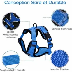 Harnais Pour Chat Laisse Pour Petit Chien Harnais Pour Chaton Réglable Bleu XS Collier De Harnais Réfléchissant Pour Chat Gilet Respirant Pour Lapin Chat Européen Maine Coon Haut Attaché Persan Avec L -Amis Poils Soldes Boutique 67204614 5