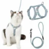 Harnais Chat Réglable Harnais Laisse (Bleu-Vert S) Pour Chat Petit Chien En Nylon Avec Laisse Résistant à La Sécurité Harnais Veste Pour Chiot Chaton Des Petits Animaux De Compagnie