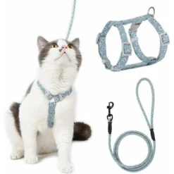 Harnais Chat Réglable Harnais Laisse (Bleu-Vert S) Pour Chat Petit Chien En Nylon Avec Laisse Résistant à La Sécurité Harnais Veste Pour Chiot Chaton Des Petits Animaux De Compagnie