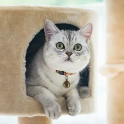 Paire Extra Forte De Cloches Pour Chat Et Chien Cloches En Laiton Durables Pour Animaux De Compagnie Collier Pendentif à Breloque Cloches Avec Fermoir Pivotant Pet Tracker -Amis Poils Soldes Boutique 67637515 4