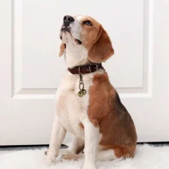 Paire Extra Forte De Cloches Pour Chat Et Chien Cloches En Laiton Durables Pour Animaux De Compagnie Collier Pendentif à Breloque Cloches Avec Fermoir Pivotant Pet Tracker -Amis Poils Soldes Boutique 67637515 5