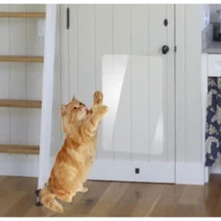 1pcs Protection Canape Chat Anti Griffe Sticker Transparent Autocollant Rouleau De Protection Invisible Protege De Meubles Table (S:15x100cm) -Amis Poils Soldes Boutique 69256527 3