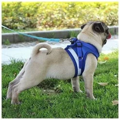 Harnais Réfléchissant, Harnais Réglable, Harnais Avec Laisse, Harnais Pour Chiot, Harnais Pour Chat (rouge- M) BF -Amis Poils Soldes Boutique 69384333 3