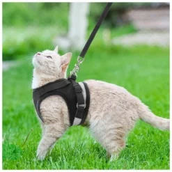 Harnais Réfléchissant, Harnais Réglable, Harnais Avec Laisse, Harnais Pour Chiot, Harnais Pour Chat (rouge- M) BF -Amis Poils Soldes Boutique 69384333 5