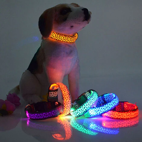 GP LED Dog Night Anti-Perdu Pet Flash Collier Teddy Petit Moyen Chien Chat Collier De Chien S Taille Largeur 2.5cm Court 35cm Longueur 43cm Rétractable Portée 8cm Batterie Bleu 2 GP LED Dog Night Anti-Perdu Pet Flash Collier Teddy Petit Moyen Chien Chat Collier De Chien S Taille Largeur 2.5cm Court 35cm Longueur 43cm Rétractable Portée 8cm Batterie Bleu – Image 2
