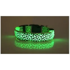 GP LED Dog Night Anti-Perdu Pet Flash Collier Teddy Petit Moyen Chien Chat Collier De Chien Taille S Largeur 2.5cm Court 35cm Longueur 43cm Portée Rétractable 8cm Batterie Vert