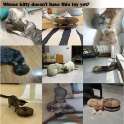 GP Griffoir Chats Avec Boule De Jouet, Magic Organ Cat Scratching Board, Grattoir Pour Chat Pliable Magique, Planche à Gratter Avec Herbe à Chat, Chat à Gratter En Carton -Amis Poils Soldes Boutique 70543619 5