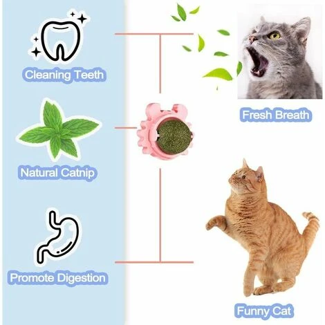 GP 6 Boules D'herbe à Chat, Collations Murales Rotatives à 360 ° Pour Chats, Jouets Comestibles Pour Chats, Catnip Balls, Utilisés Pour Chats Se Nettoient Les Dents Et Attirent Les Chats 2 GP 6 Boules D'herbe à Chat, Collations Murales Rotatives à 360 ° Pour Chats, Jouets Comestibles Pour Chats, Catnip Balls, Utilisés Pour Chats Se Nettoient Les Dents Et Attirent Les Chats – Image 2