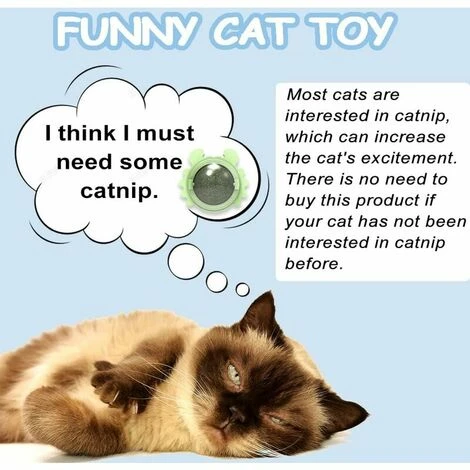GP 6 Boules D'herbe à Chat, Collations Murales Rotatives à 360 ° Pour Chats, Jouets Comestibles Pour Chats, Catnip Balls, Utilisés Pour Chats Se Nettoient Les Dents Et Attirent Les Chats 3 GP 6 Boules D'herbe à Chat, Collations Murales Rotatives à 360 ° Pour Chats, Jouets Comestibles Pour Chats, Catnip Balls, Utilisés Pour Chats Se Nettoient Les Dents Et Attirent Les Chats – Image 3