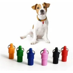 Médaille D'identification Pour Animal Domestique Pour Chat, Petit Chien, Chiot, En Forme De Capsule